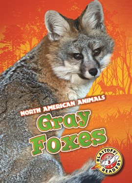 Cover image for Gray Foxes