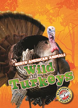 Cover image for WIld Turkeys