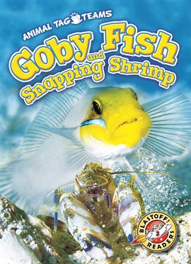 Cover image for Goby Fish and Snapping Shrimp