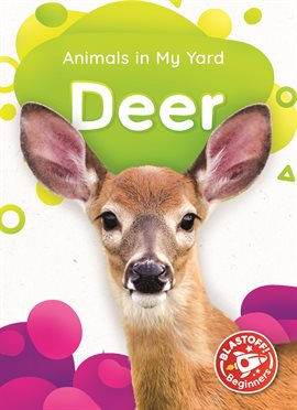 Cover image for Deer