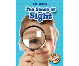 Cover image for The Sense of Sight