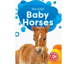 Imagen de portada para Baby Horses