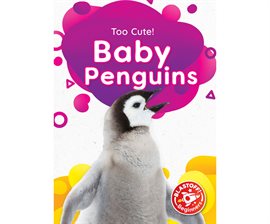 Cover image for Baby Penguins