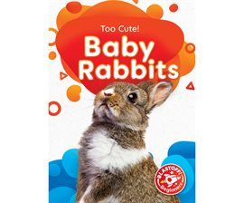 Imagen de portada para Baby Rabbits