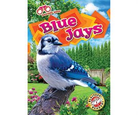 Cover image for Blue Jays