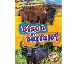 Cover image for Bison or Buffalo?