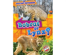 Cover image for Bobcat or Lynx?