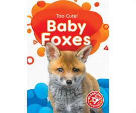 Imagen de portada para Baby Foxes