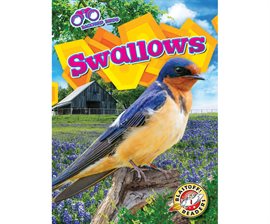 Imagen de portada para Swallows