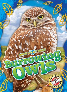 Imagen de portada para Burrowing Owls