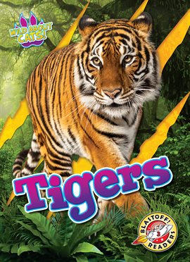 Cover image for Tigers
