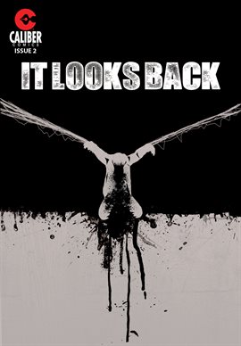 Cover image for It Looks Back