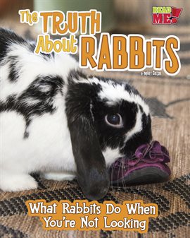 Cover image for The Truth about Rabbits
