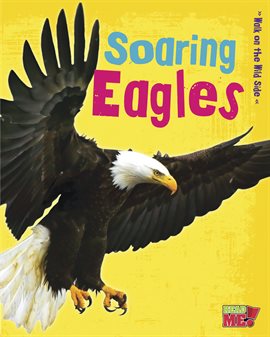 Cover image for Soaring Eagles