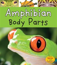 Cover image for Amphibian Body Parts