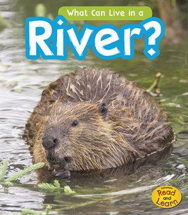 Cover image for What Can Live in the River?