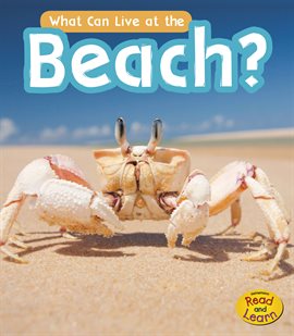 Cover image for What Can Live at the Beach?