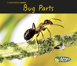 Cover image for Bug Parts