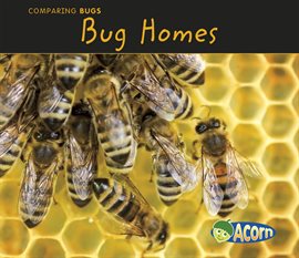 Cover image for Bug Homes