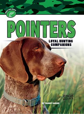 Cover image for Pointers