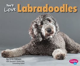 Cover image for You'll Love Labradoodles