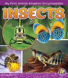 Cover image for Insects