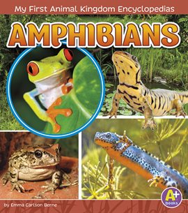 Cover image for Amphibians