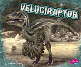 Cover image for Velociraptor