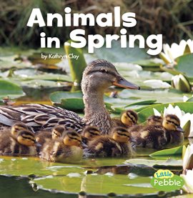 Cover image for Animals in Spring