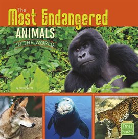 Cover image for The Most Endangered Animals in the World