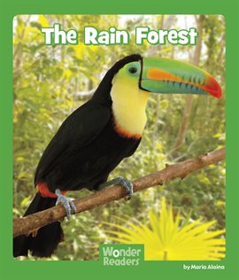 Cover image for The Rain Forest