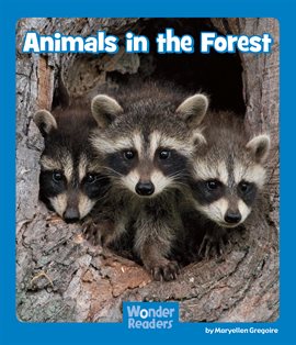 Cover image for Animals in the Forest