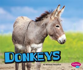 Cover image for Donkeys