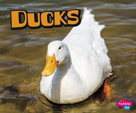 Cover image for Ducks