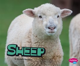 Cover image for Sheep