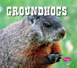 Cover image for Groundhogs