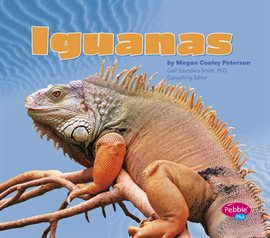 Cover image for Iguanas