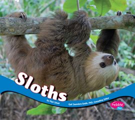 Cover image for Sloths