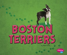 Imagen de portada para Boston Terriers