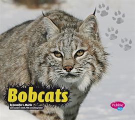 Cover image for Bobcats