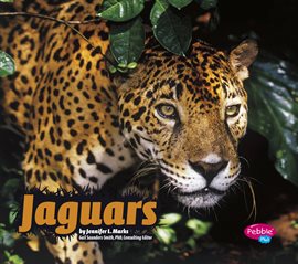 Cover image for Jaguars