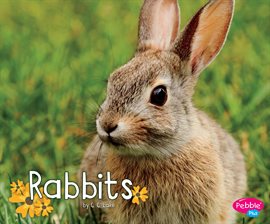 Cover image for Rabbits