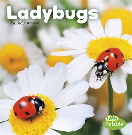 Imagen de portada para Ladybugs