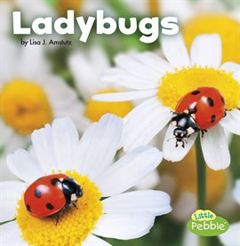 Cover image for Ladybugs