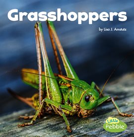 Cover image for Grasshoppers