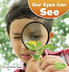 Cover image for Our Eyes Can See