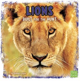 Cover image for Lions