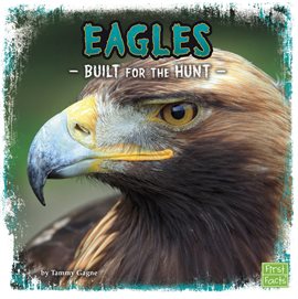 Cover image for Eagles