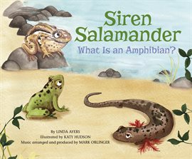 Cover image for Siren Salamander