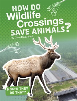 Cover image for How Do Wildlife Crossings Save Animals?